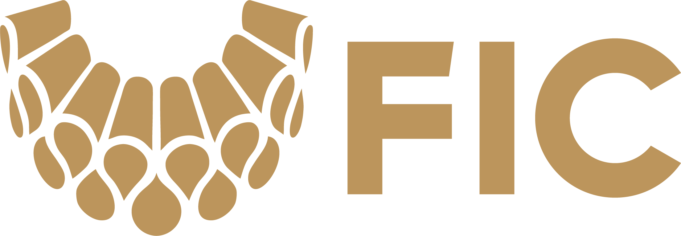 FIC 54 Festival Internacional Cervantino